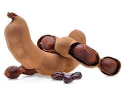 coco peat