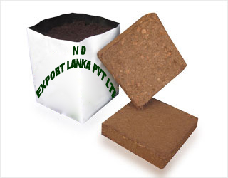 coco peat